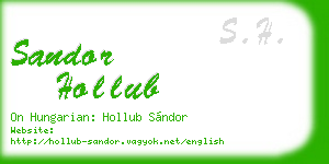 sandor hollub business card